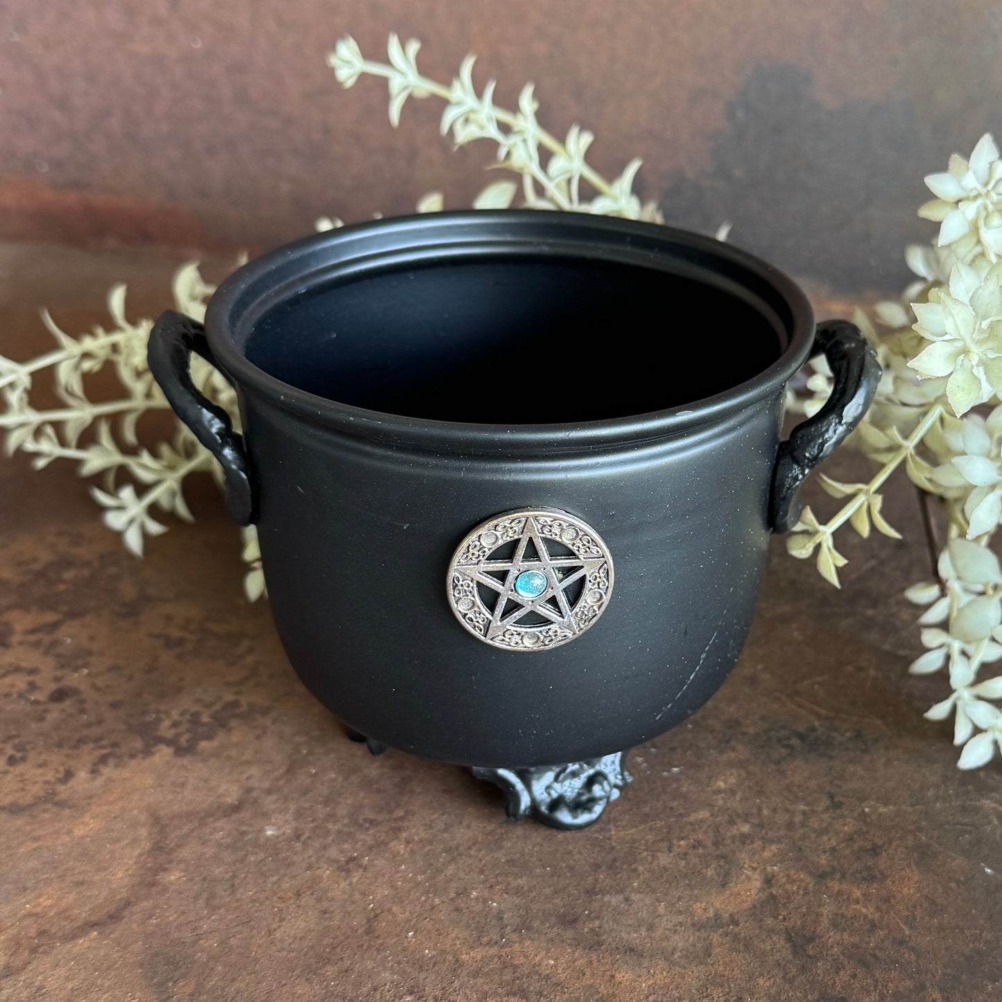 Black cauldron with a pentacle design on a brown surface with greenery