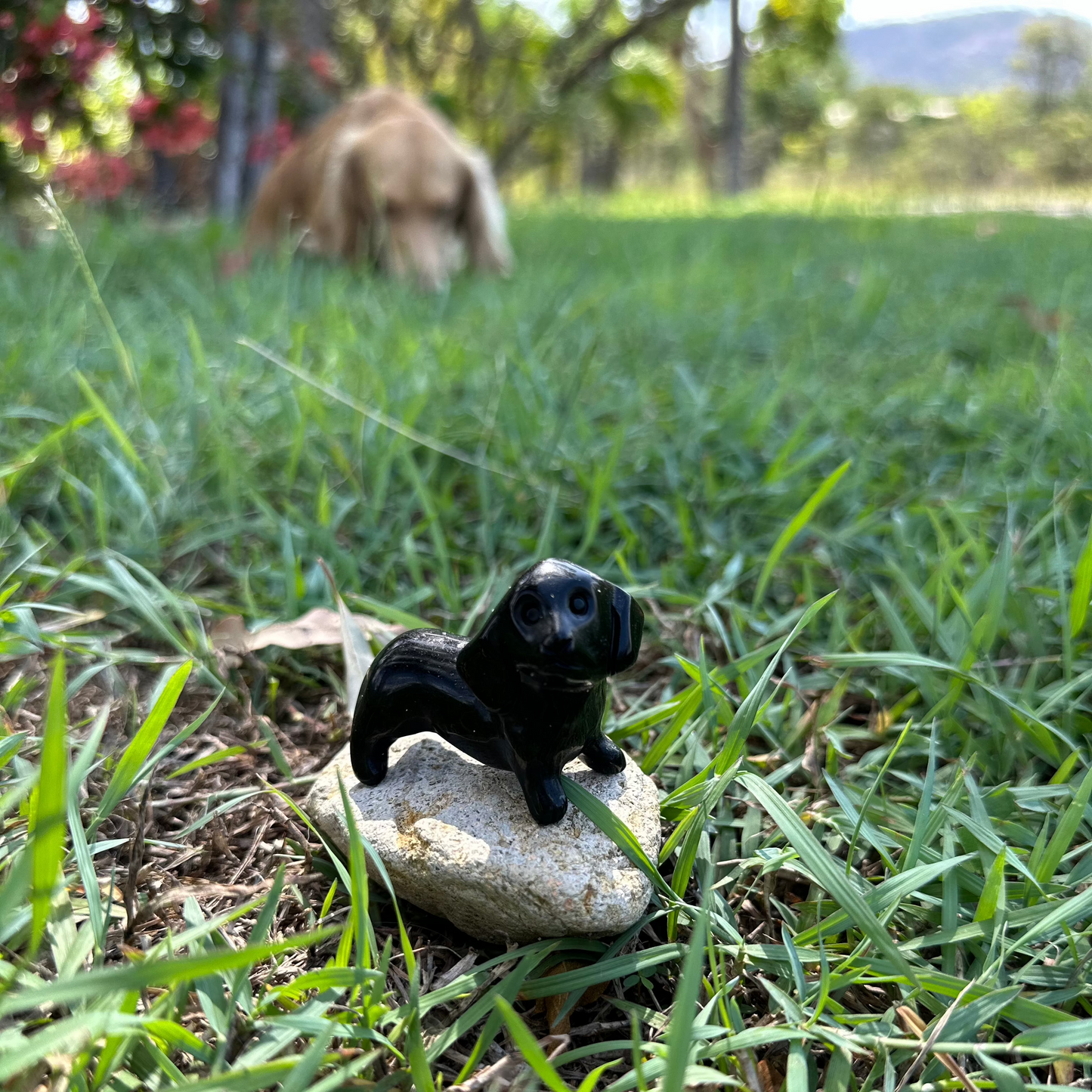 Crystal Dachshund Carvings – Healing Dog Crystal Carvings with Spiritual Purpose