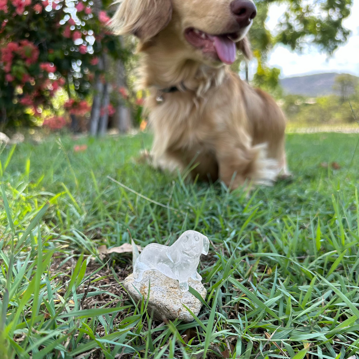 Crystal Dachshund Carvings – Healing Dog Crystal Carvings with Spiritual Purpose
