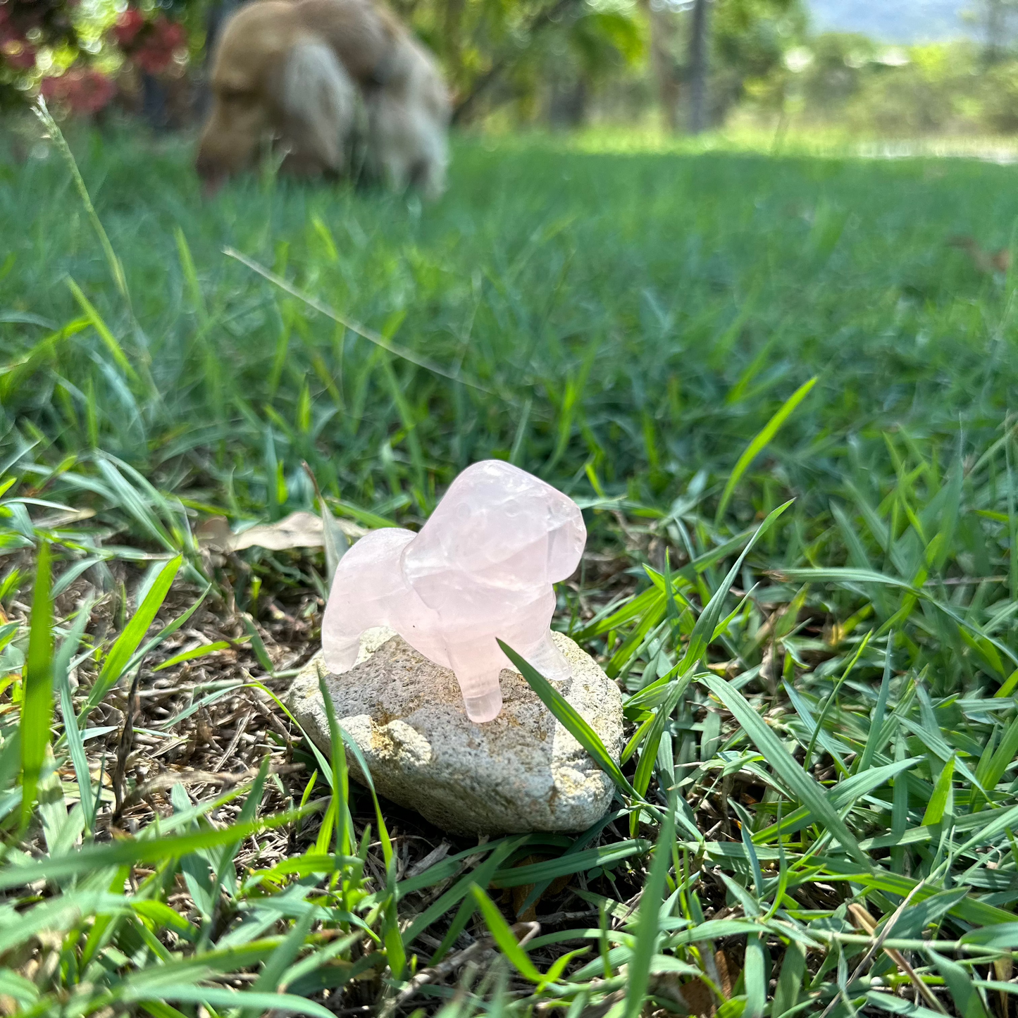 Crystal Dachshund Carvings – Healing Dog Crystal Carvings with Spiritual Purpose