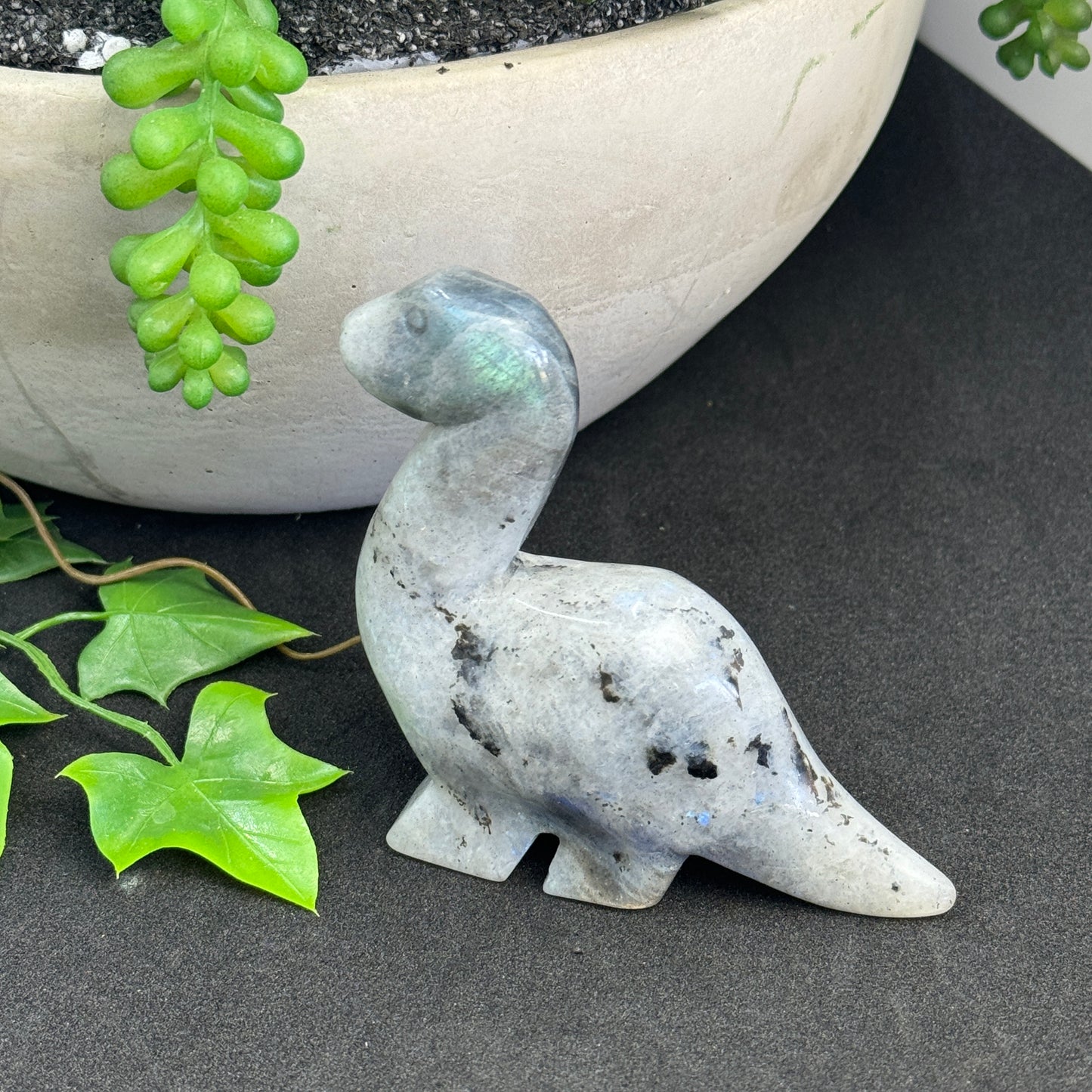 Crystal Dinosaur Carvings – Ancient Earth Energy, Spiritual Healing & Collectible Joy