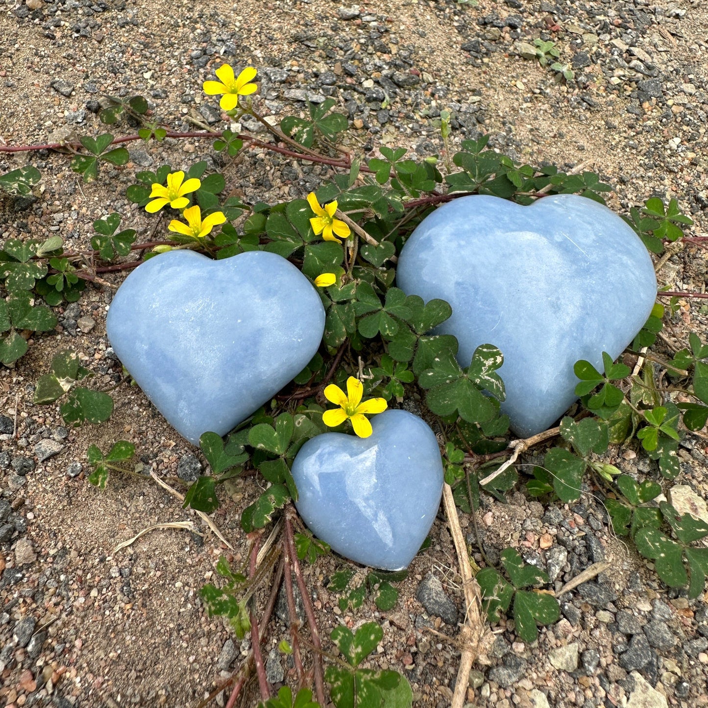 Angelite Hearts