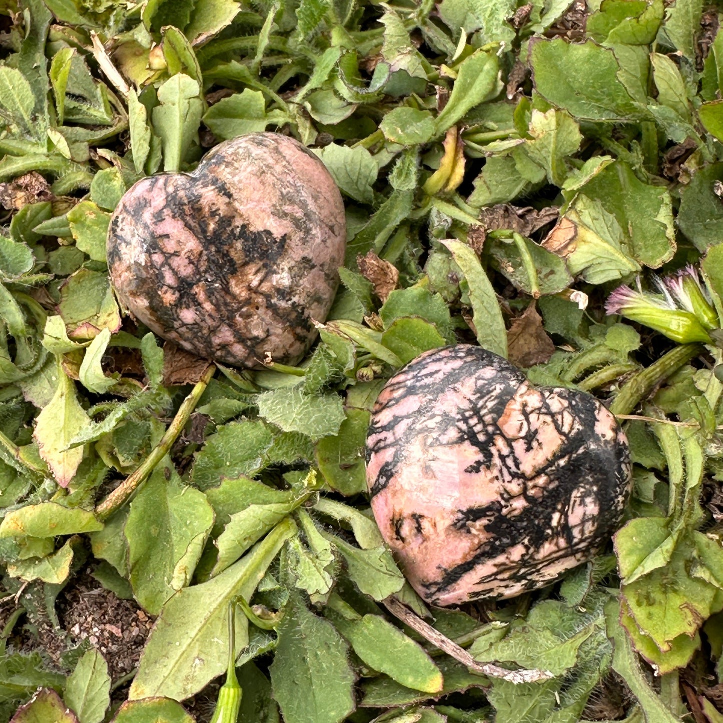 Rhodonite Crystal Heart – Love, Compassion & Emotional Healing