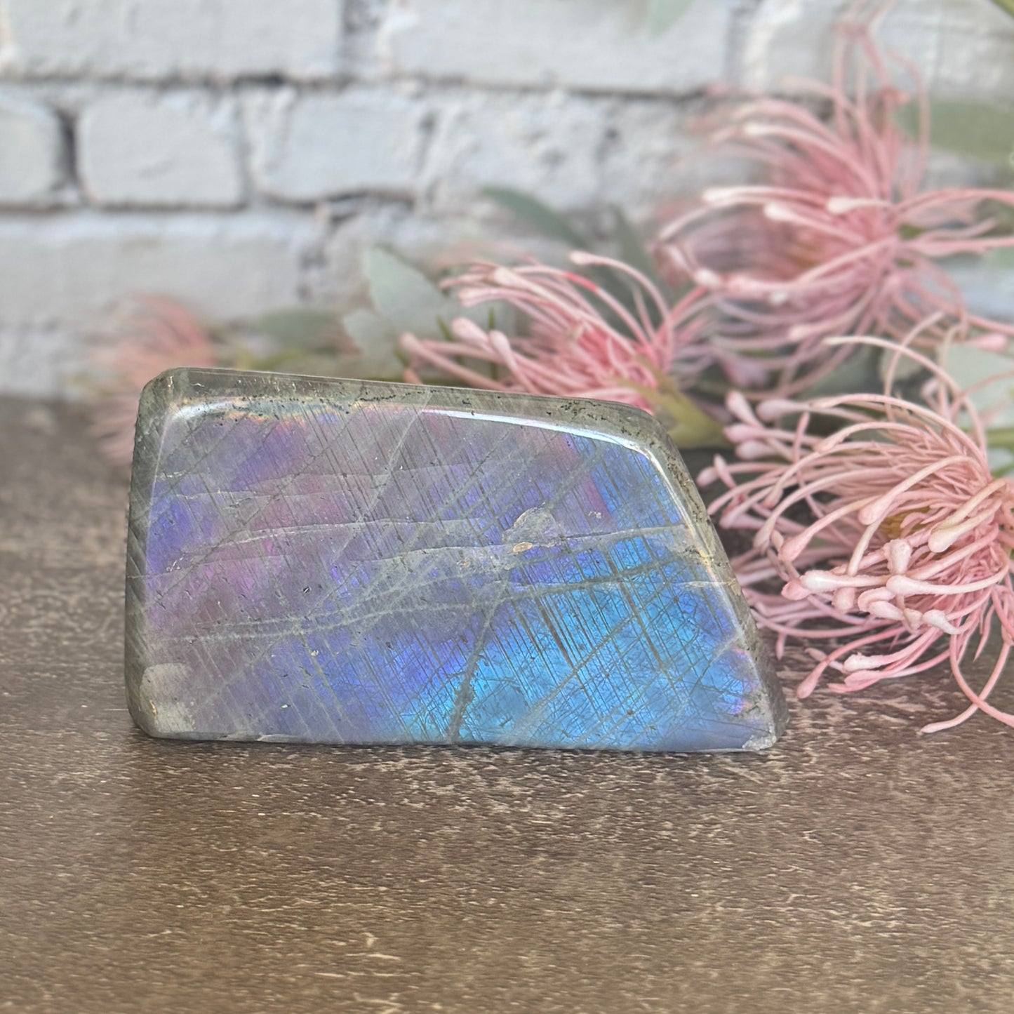 Purple Labradorite Free Form