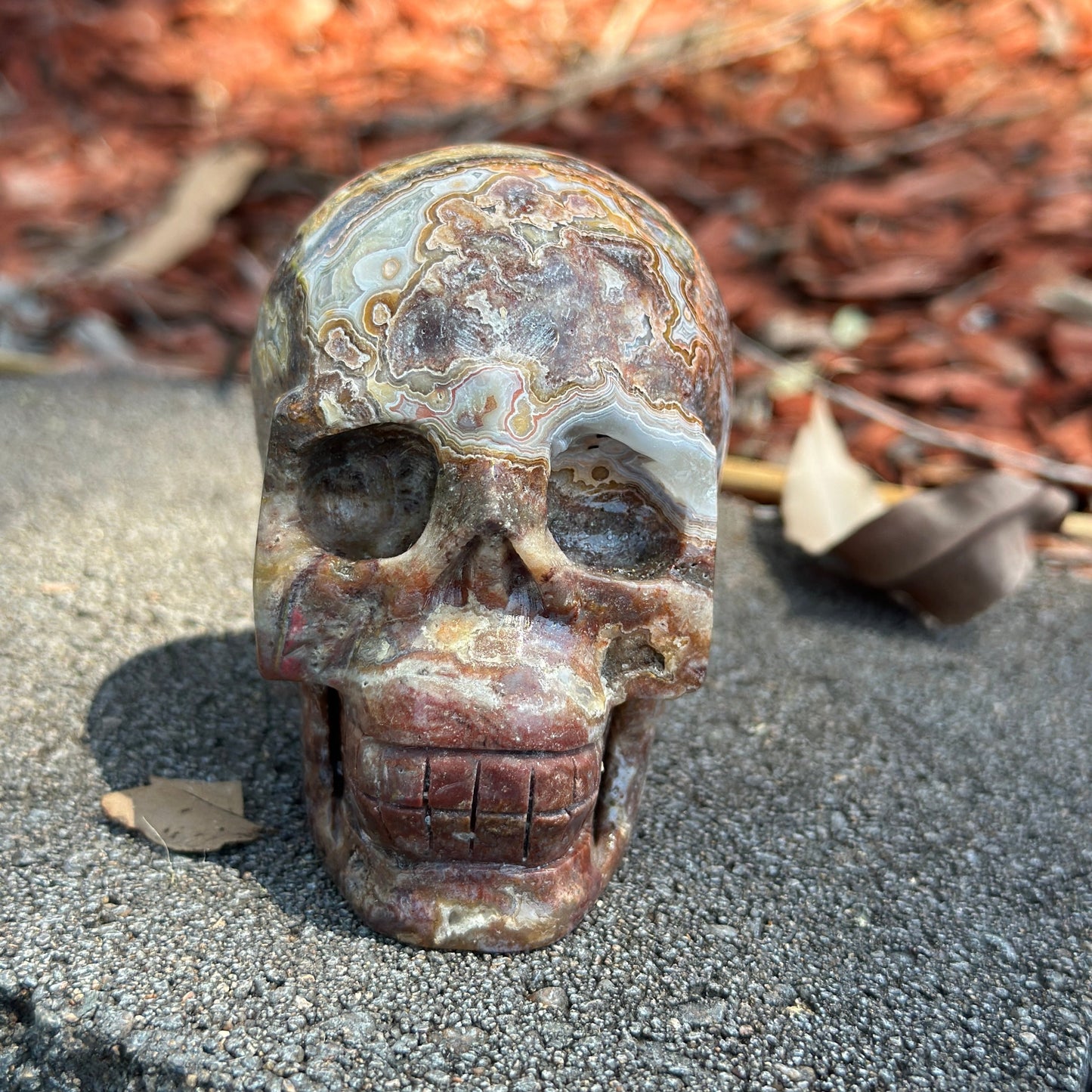 Mexican Agate Skull – Grounding, Emotional Healing & Spiritual Transformation (540g)