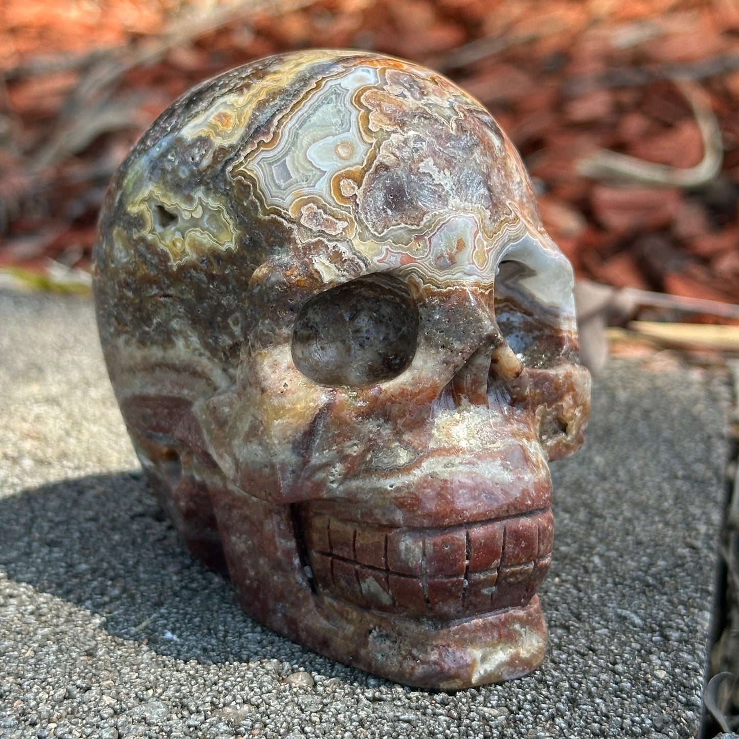 Mexican Agate Skull – Grounding, Emotional Healing & Spiritual Transformation (540g)