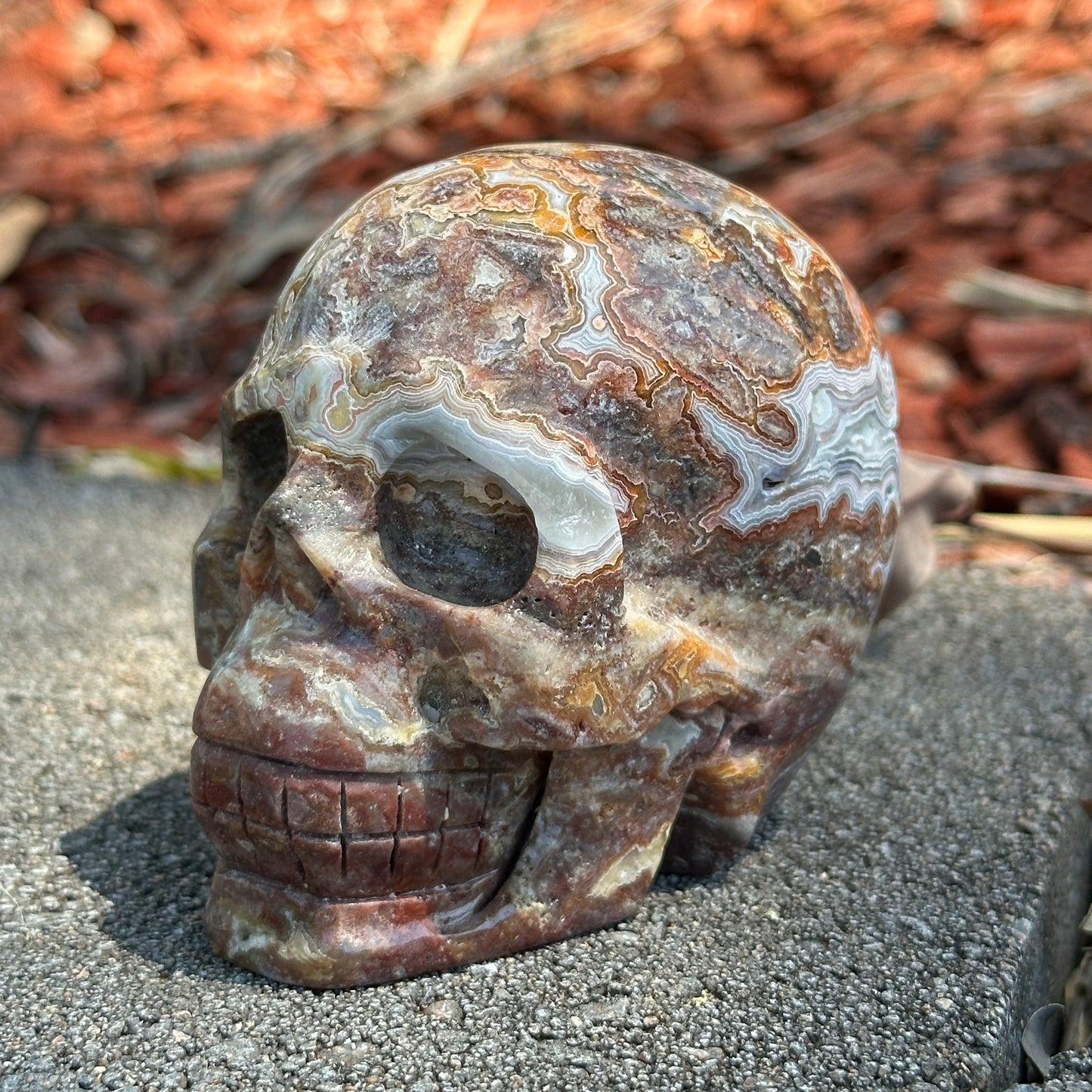 Mexican Agate Skull – Grounding, Emotional Healing & Spiritual Transformation (540g)