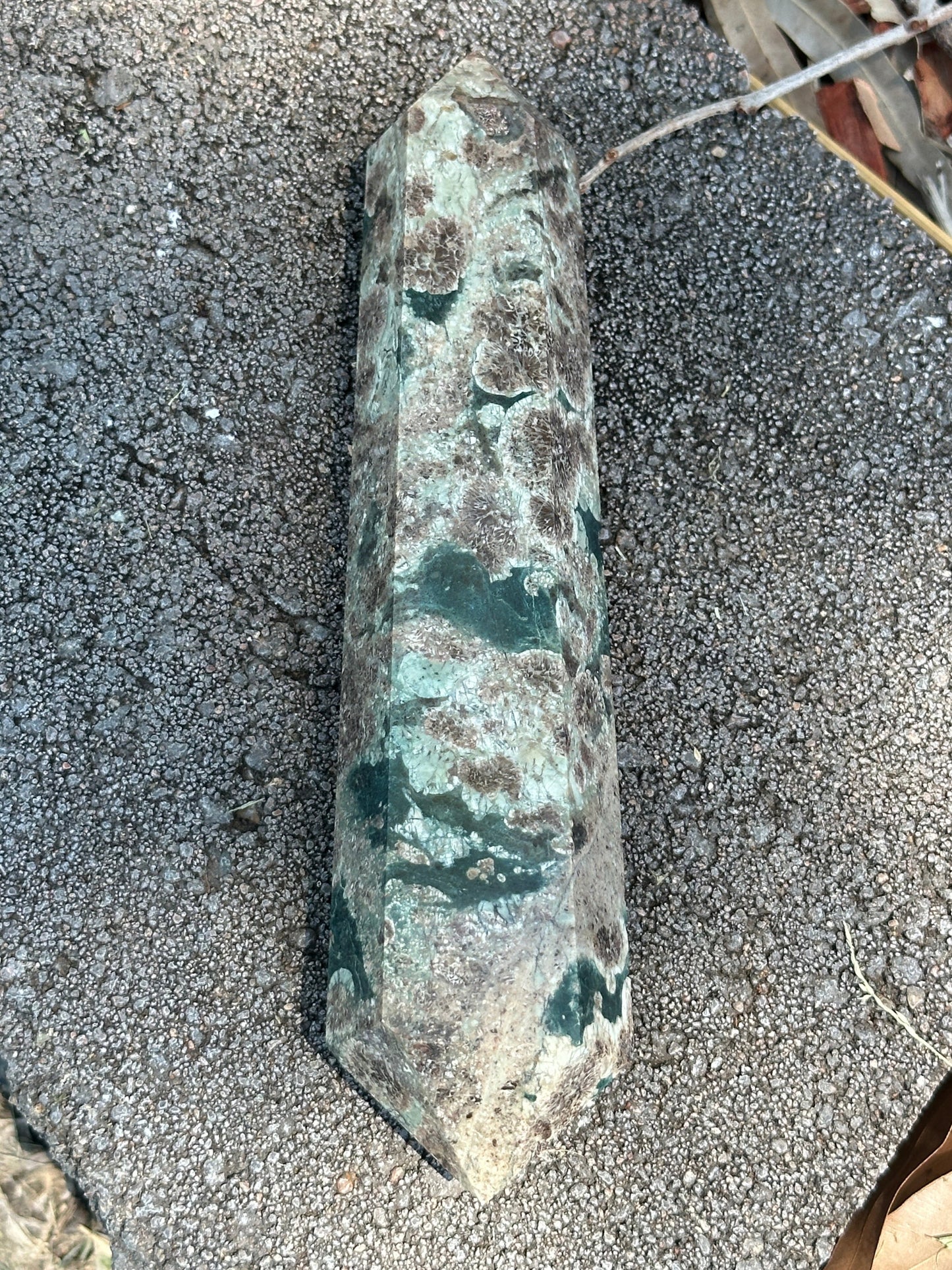 Green Cherry Blossom Sakura Jasper Double End Points – Healing, Growth & Spiritual Protection