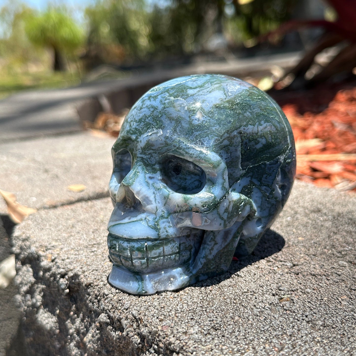 Blue Moss Agate Skull – Crystal Skull for Emotional Balance, Abundance & Spiritual Growth
