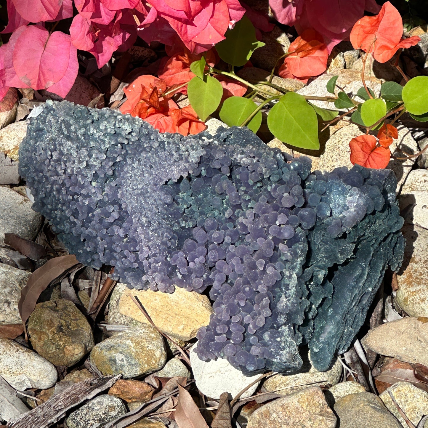 Grape Agate Specimen – Emotional Balance, Creativity & Spiritual Growth