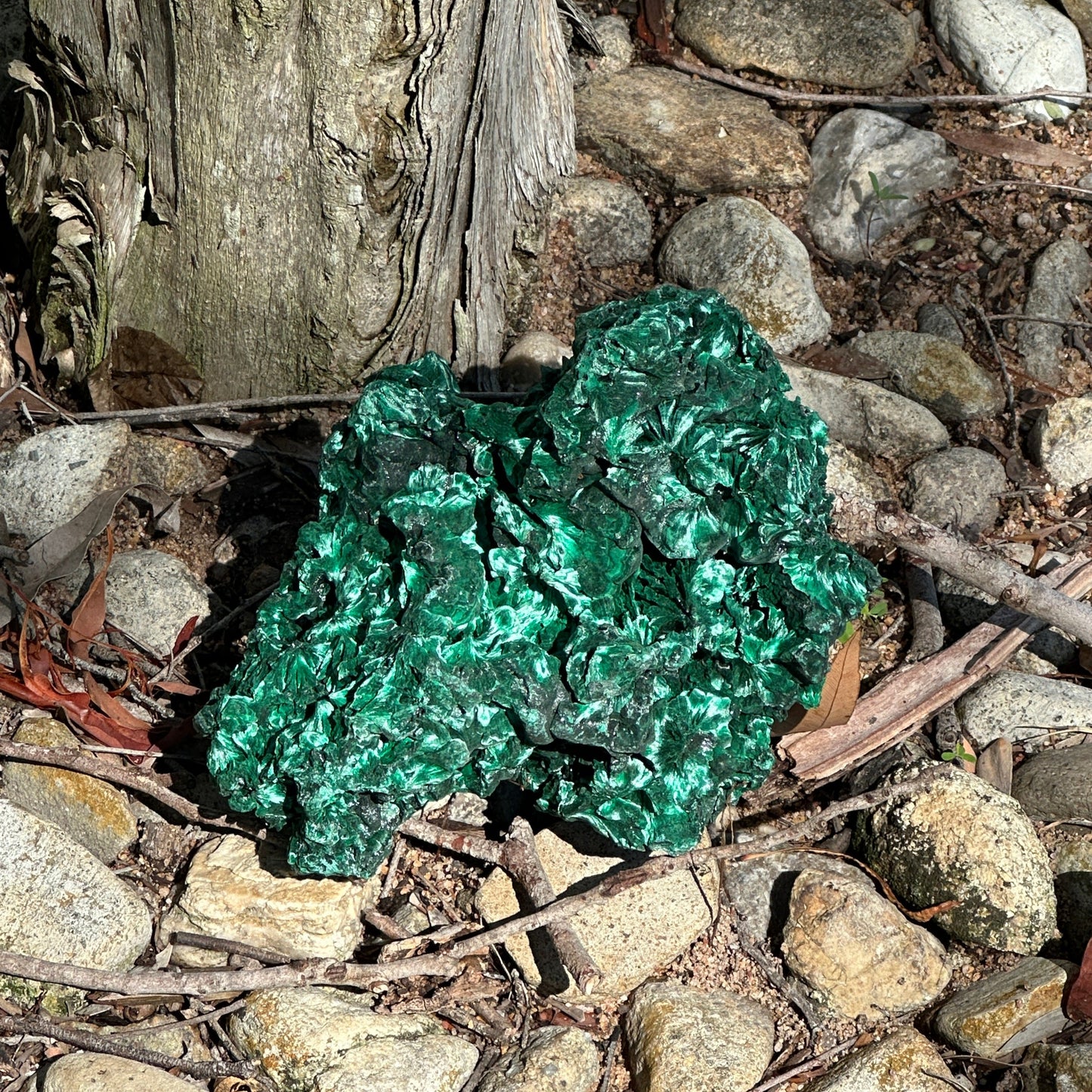 Malachite Raw Specimen – Powerful Healing, Transformation & Emotional Balance