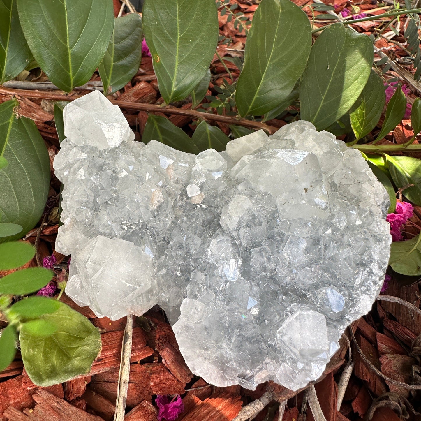 Apophyllite Specimen – Spiritual Clarity & Transformation (2)