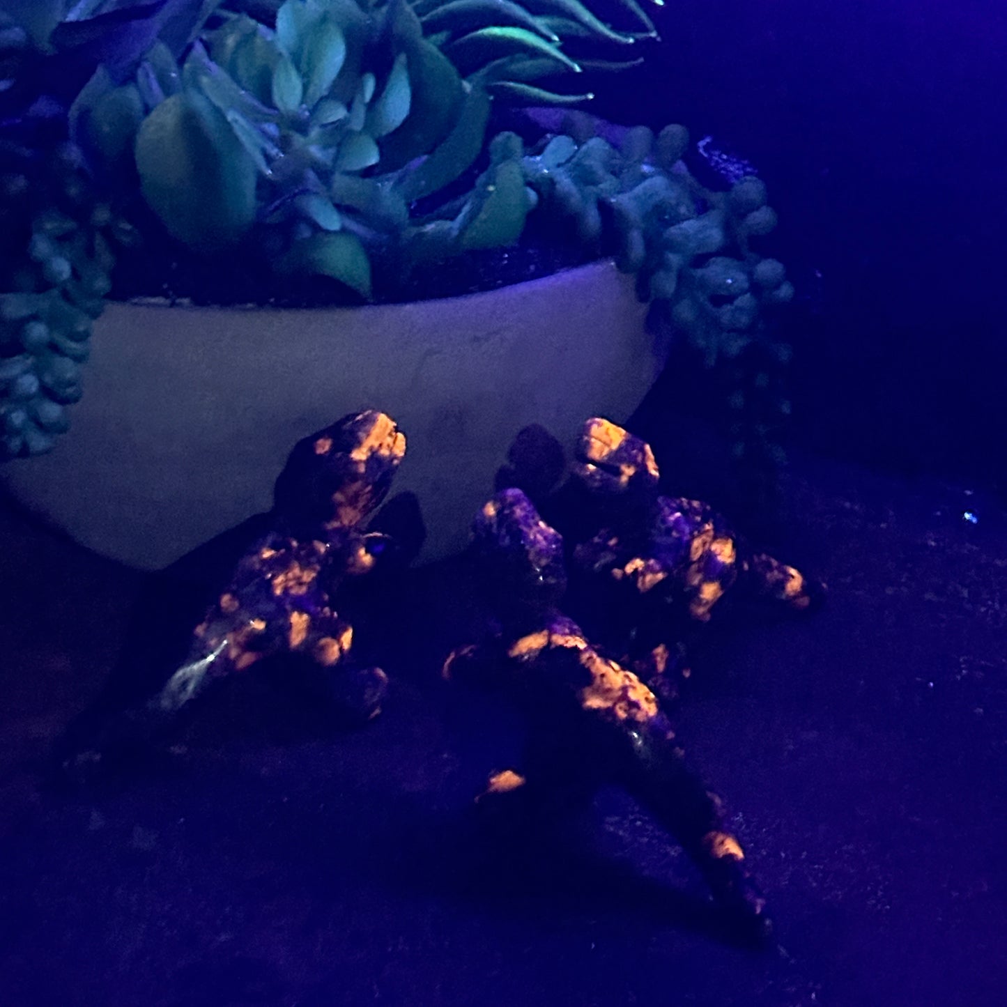 Yooperlite T Rex Dinosaur Carving (UV- light reactive)
