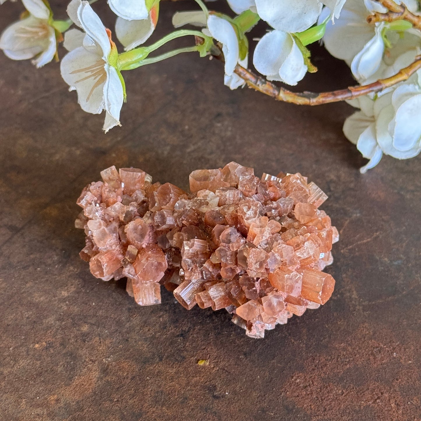 Aragonite Cluster – Grounding Crystal for Emotional Balance, Grief Support & Inner Peace