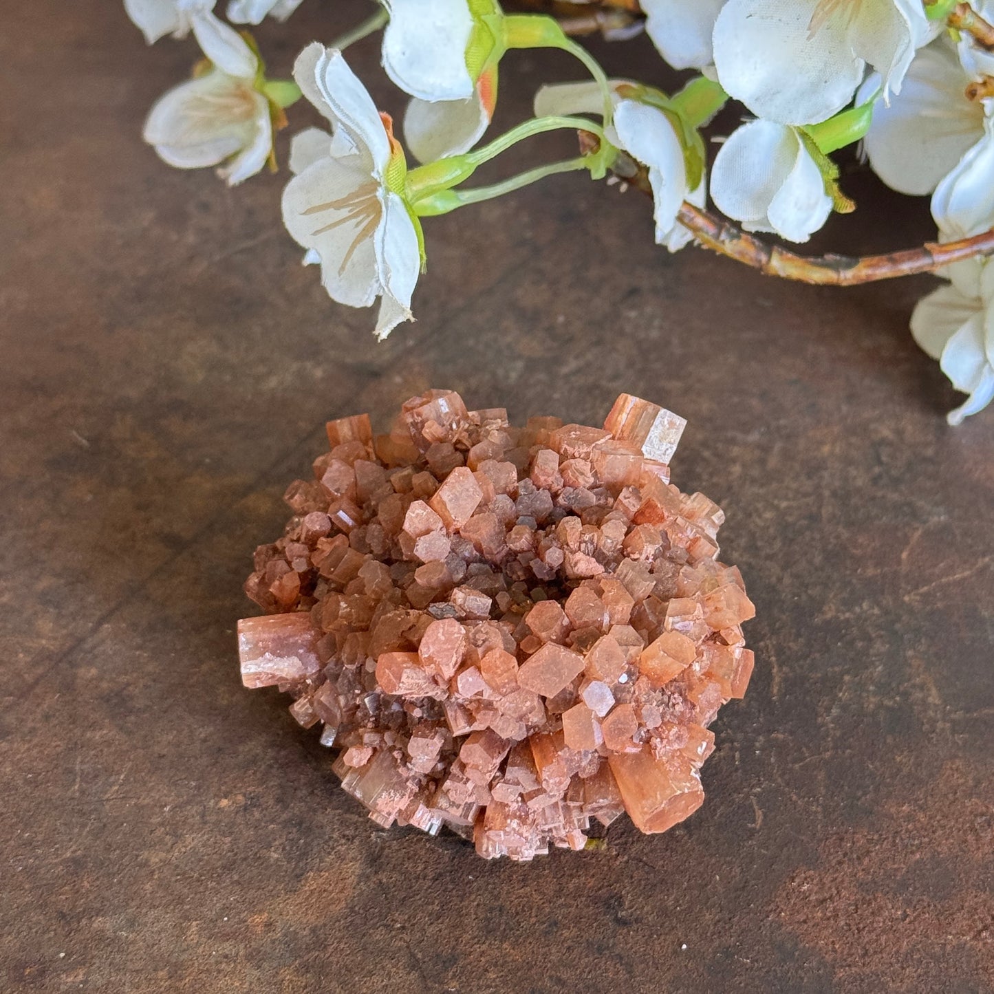 Aragonite Cluster – Grounding Crystal for Emotional Balance, Grief Support & Inner Peace