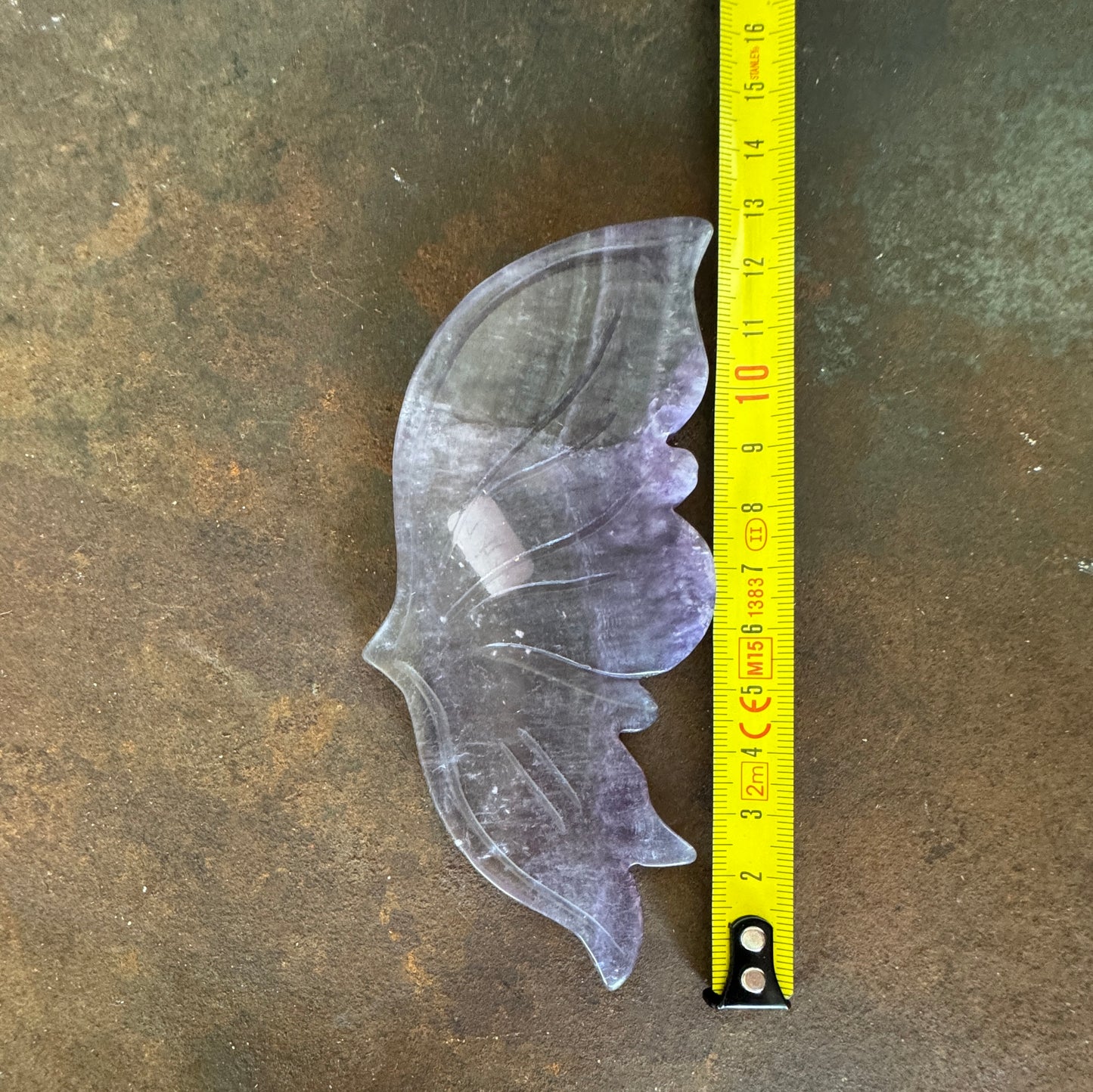 Butterfly wing with a yellow measuring tape on a brown surface