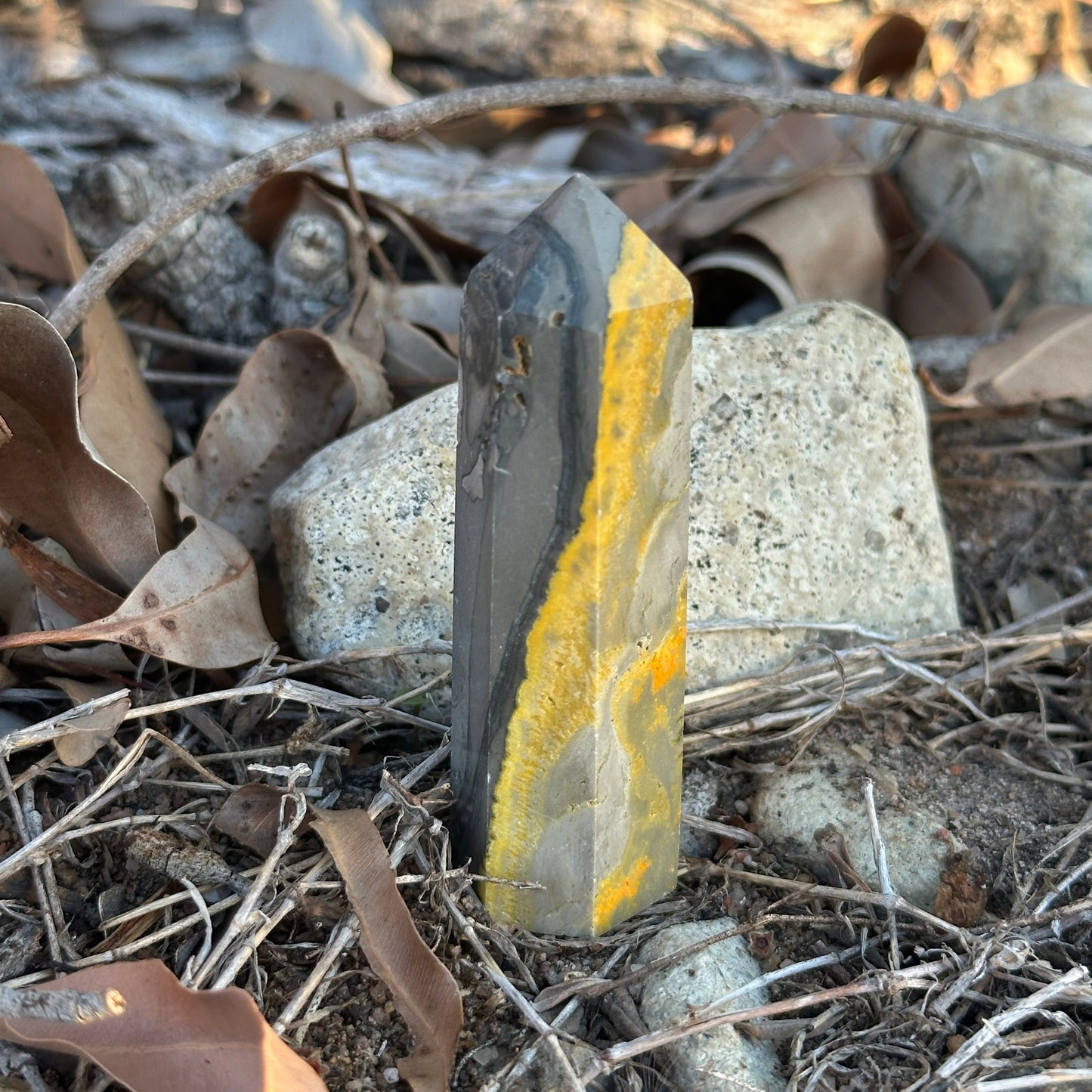Bumblebee Jasper Tower - Unlock Your Hidden Potential
