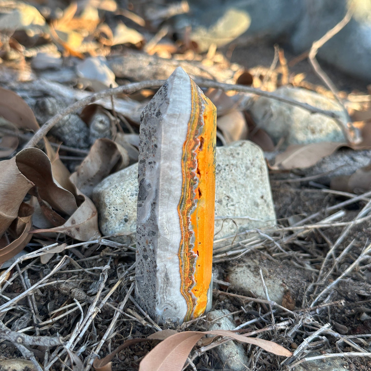 Bumblebee Jasper Tower - Unlock Your Hidden Potential