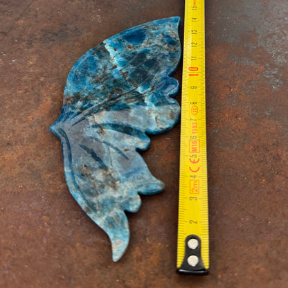 Blue Apatite Crystal Wings on Butterfly Stand (Medium Size)– Spiritual Healing, Renewal & Inspired Transformation