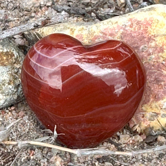 Carnelian Hearts