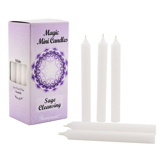 Cleansing White Sage Scented Candles (1.25cm x 12.7cm, 20 pack)