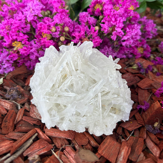 A clear quartz crystal cluster displayed on a bed of red wooden chips with a background of pink flowers.