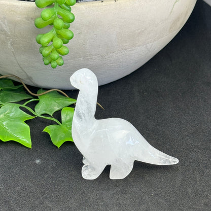 Crystal Dinosaur Carvings – Ancient Earth Energy, Spiritual Healing & Collectible Joy