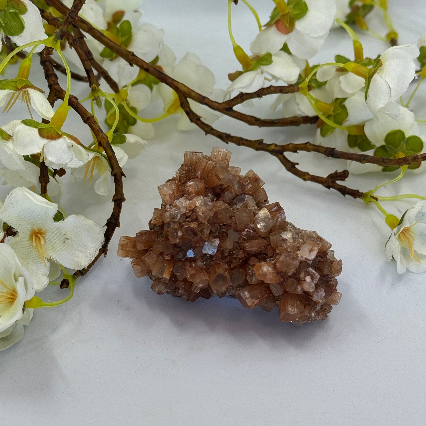 Aragonite Cluster