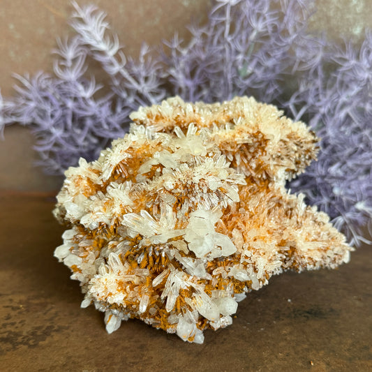 Chrysanthemum Stone Quartz Crystal Raw Specimen – Rare Flower Stone for Spiritual Healing, Growth & Inner Peace