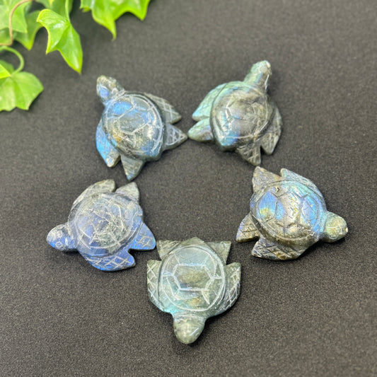 Labradorite Turtle