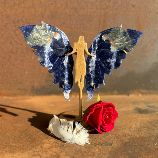 Sodalite Wings on Angel Stand