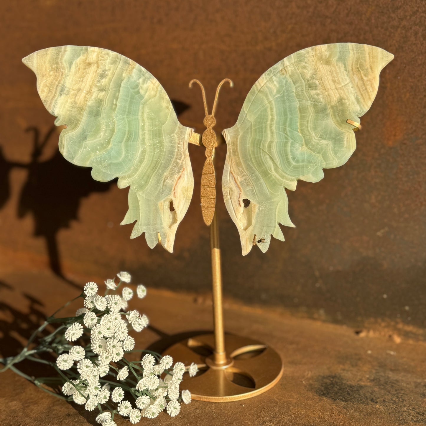 Butterfly Stand with Caribbean Calcite Wings  (C)