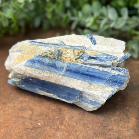 Kyanite Specimen