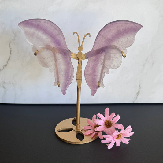 Small Fluorite Wings on Butterfly Stand