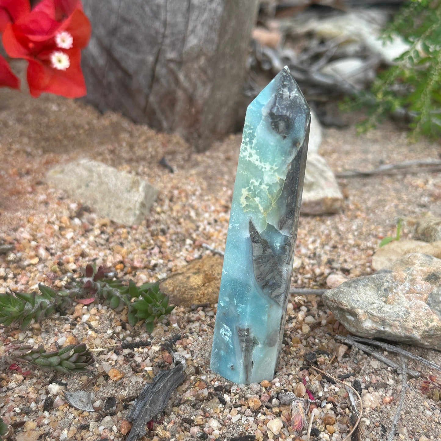 Caribbean Calcite Tower