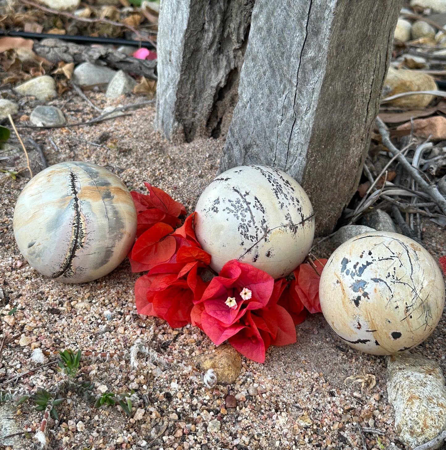 Dendritic Agate Spheres