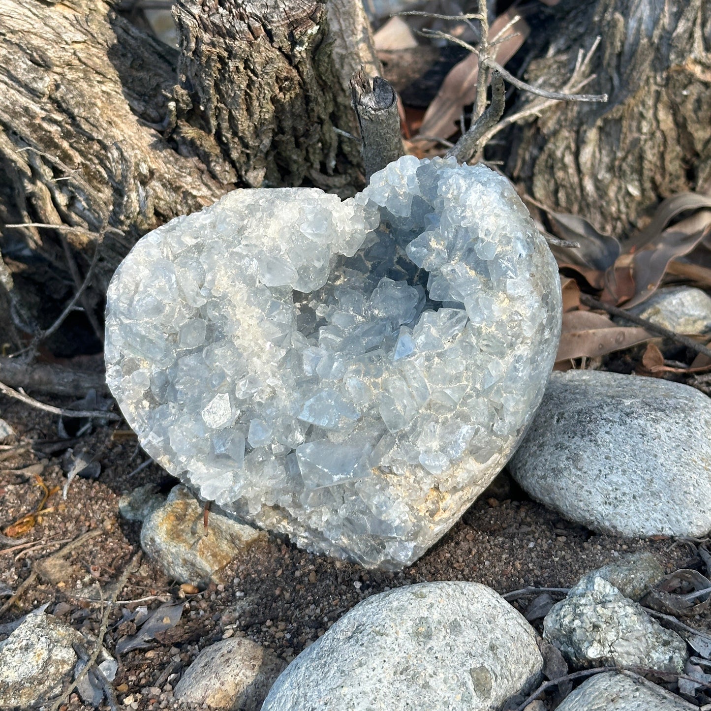 Celestite Geodes (hearts and free shapes)