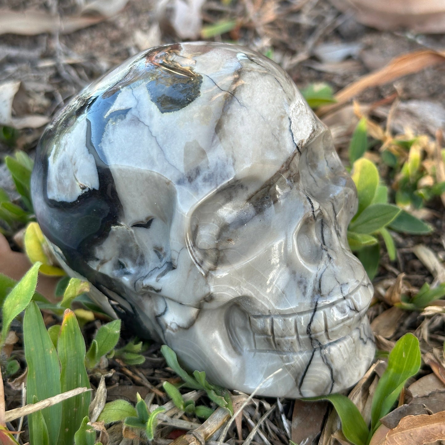Volanic Agate Skull Carving