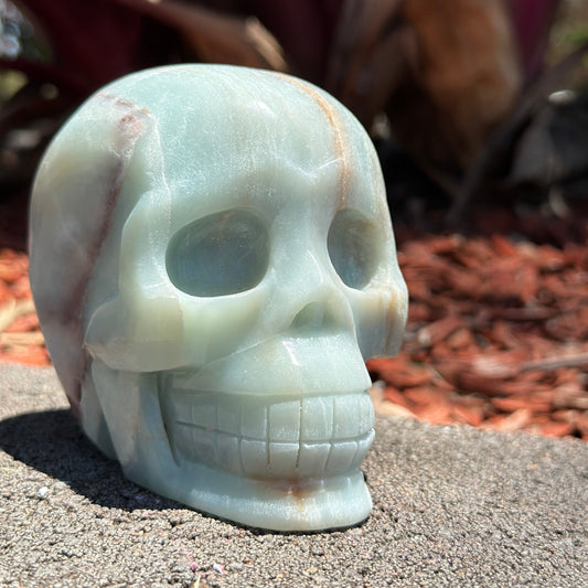 Caribbean Calcite Skull