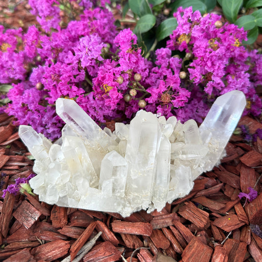 Clear Quartz  Cluster No1