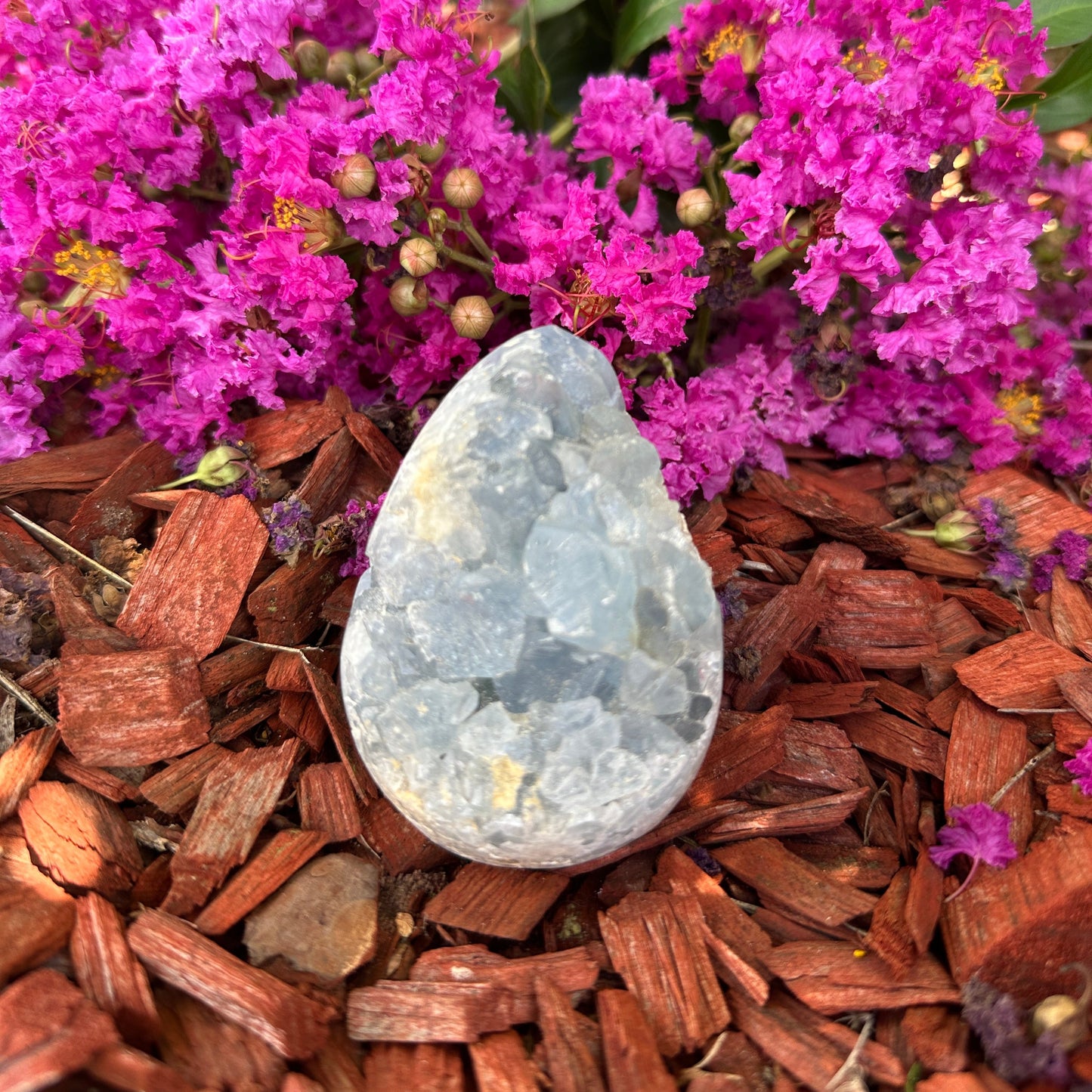 Celestite Geodes (hearts and free shapes)