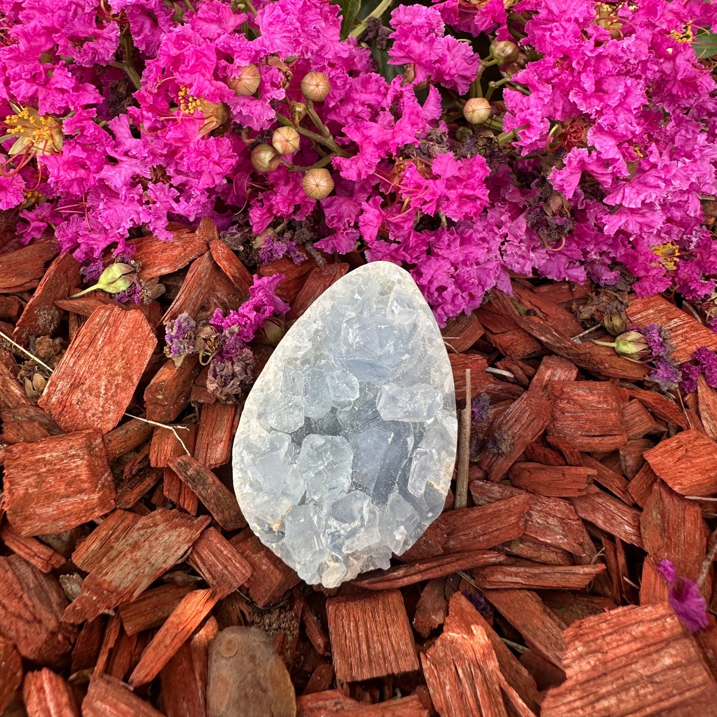 Celestite Geodes (hearts and free shapes)