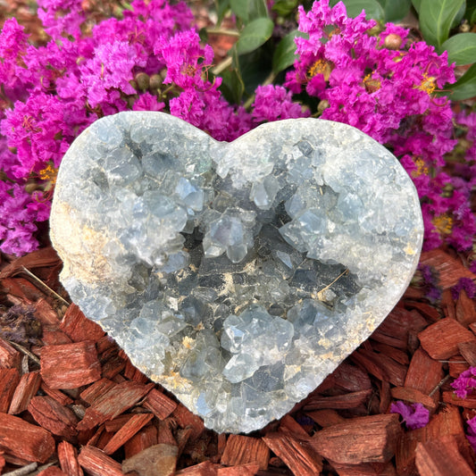 Celestite Geodes (hearts and free shapes)