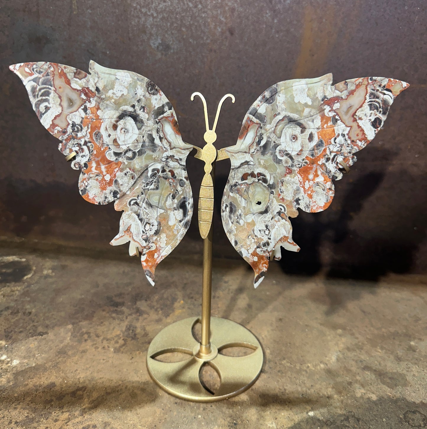 Butterfly Stand with Money Agate Wings