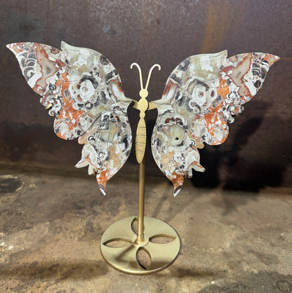 Money Agate Crystal Wings on Butterfly Stand – Abundance, Protection & Spiritual Clarity