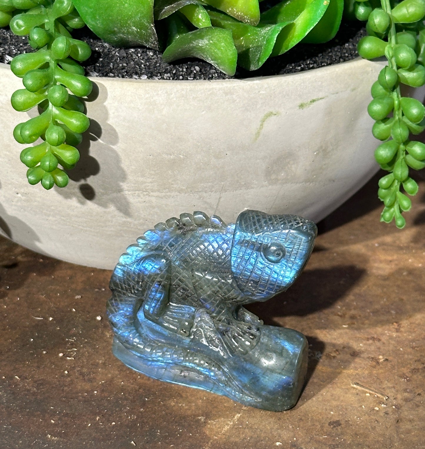 Labradorite Lizard