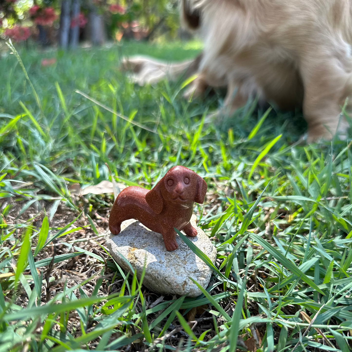 Dachshund / Sausage Dogs / Puppy Crystal Carvings