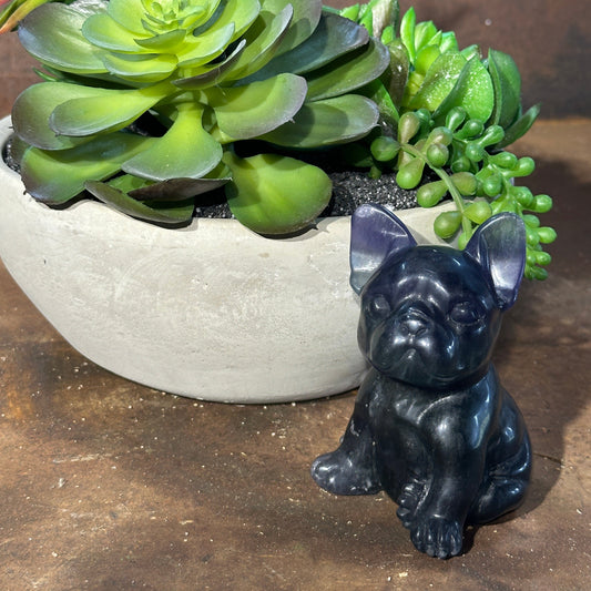 Fluorite French Bulldog Carving