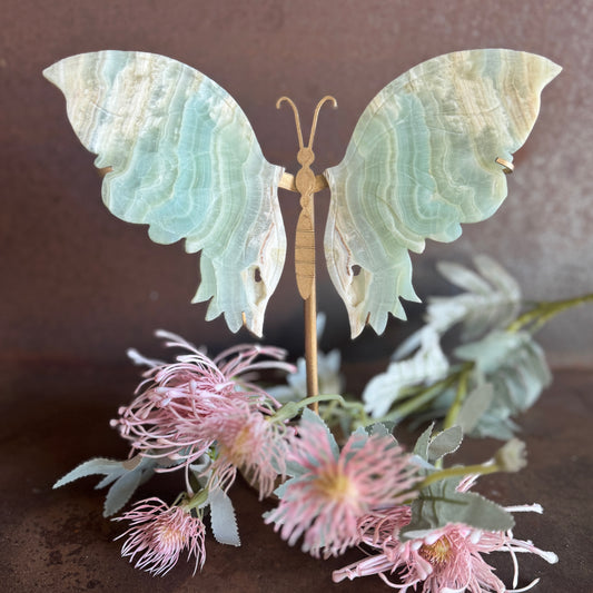 Caribbean Calcite Crystal Wings on Butterfly Stand – Serenity, Healing & Spiritual Transformation  (C)