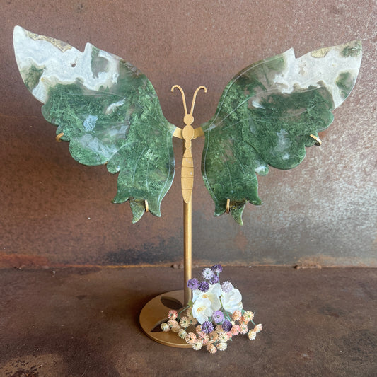 Moss Agate Crystal Wings with Butterfly Stand – Symbol of Protection & New Beginnings